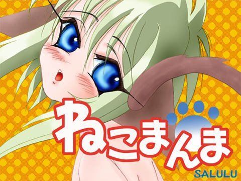 ねこまんま
