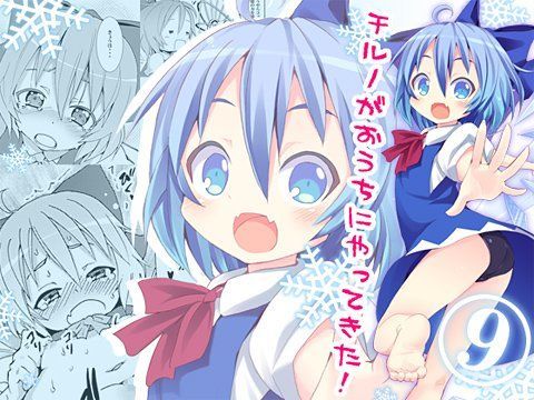 チルノがおうちにやってきた！