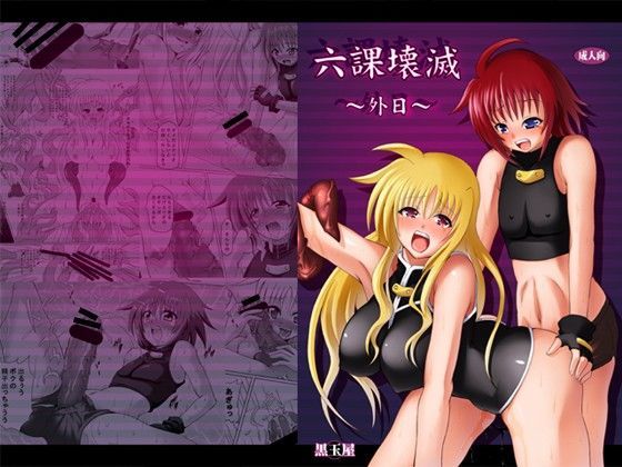 【魔法少女リリカルなのは 同人】六課壊滅外日～おまけ付き～