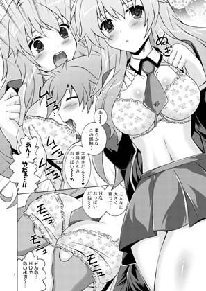 Perfect-HIMEJI complete 画像1