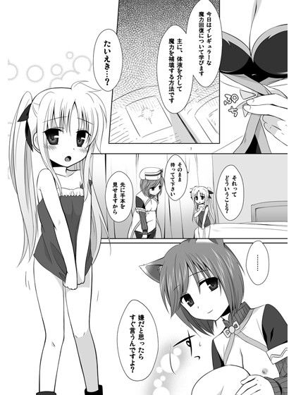 ゲキナノ！！ ゼロ 魔法少女リリカルなのは エロ漫画2