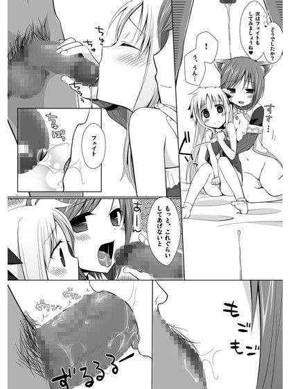 ゲキナノ！！ ゼロ 魔法少女リリカルなのは エロ漫画3