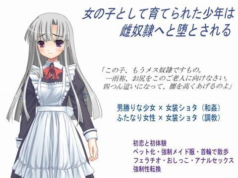 女の子として育てられた少年は雌奴●へと堕とされる