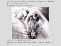 第三次性徴〜少女となった少年は親友に抱かれる〜