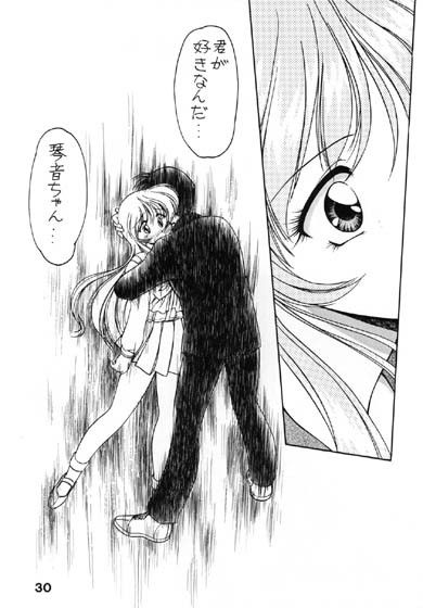 サンプル画像