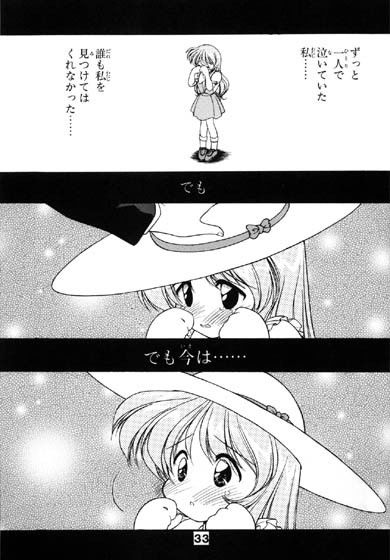 サンプル画像