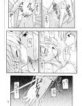 Salmon Knight試し読み2ページ