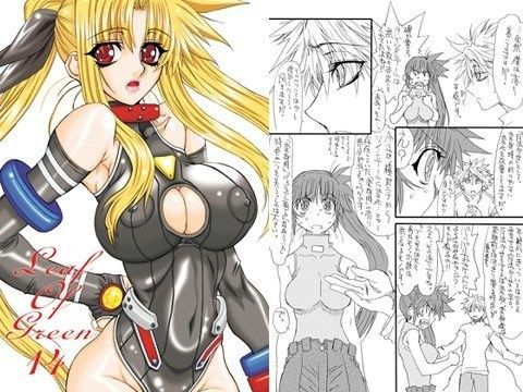 【ヴィータ 同人】LeafOfGreen14 