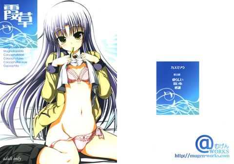 霞草(むげん@WORKS)