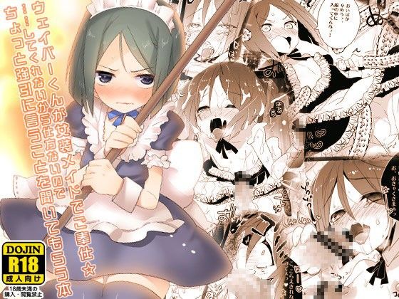 ウェイバーくんが女装メイドでご奉仕☆ ……してくれないから仕方ないので ちょっと強引に言うことを聞いてもらう本(clear glass)