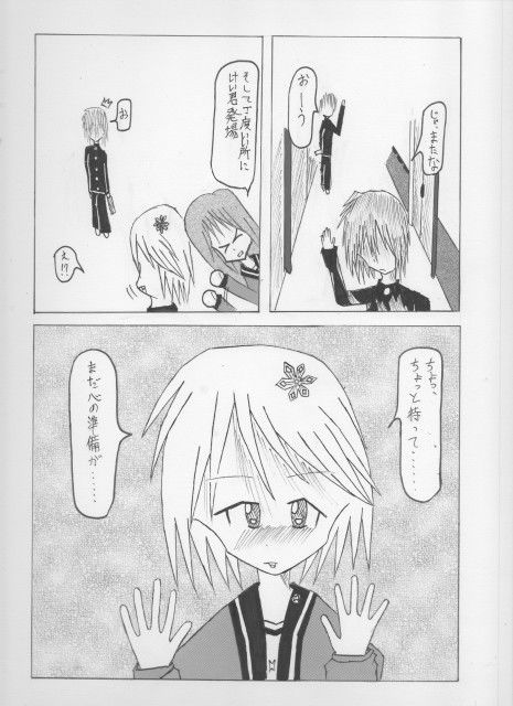 サンプル画像