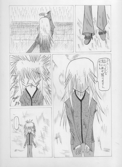 サンプル画像