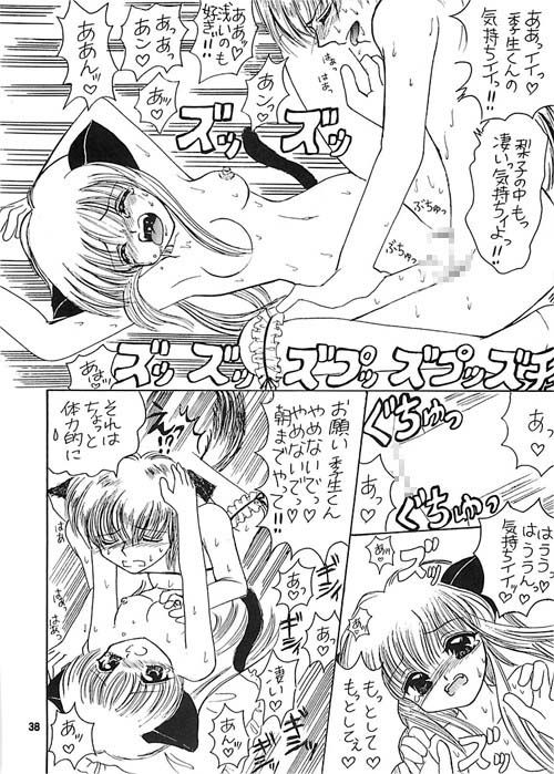 サンプル画像