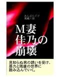 M妻佳乃の崩壊