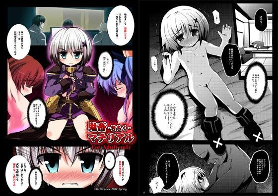 【リリカル 同人】鬼畜マテリアル
