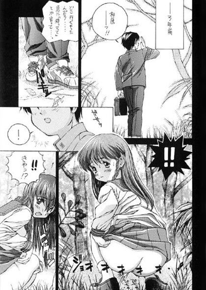 サンプル画像