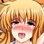 ハーレムサマーNFH