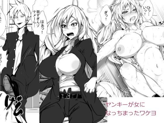 ヤンキーが女になっちまったワケヨ(akys本舗)
