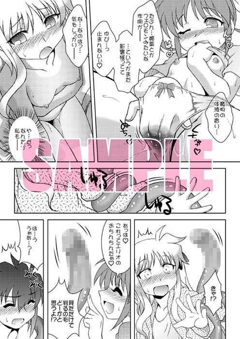 未確認生物の討伐に失敗しました★ 魔法少女リリカルなのは エロ漫画3
