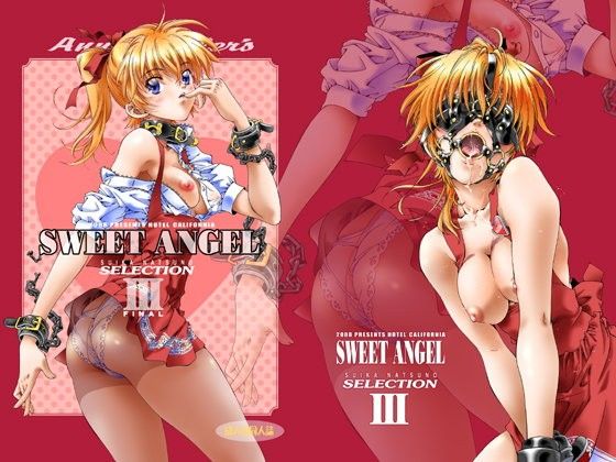 SWEET ANGEL SELECTION 3DL(ホテル・カリフォルニア)
