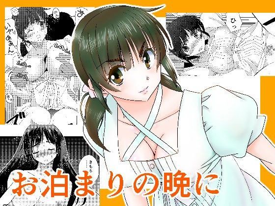 【ぷりんせす☆ぷろじぇくと。 同人】お泊まりの晩に