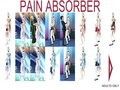 PAIN ABSORBER 総集編 13-D SET