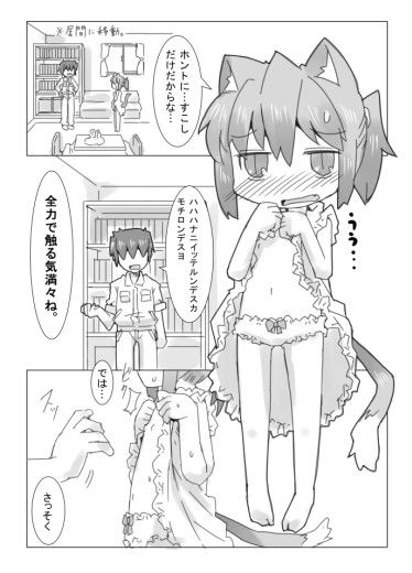 娘猫と遊ぼ！！3