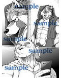 9ANIMALS ver.4.0 ROUGH WOLF 画像1