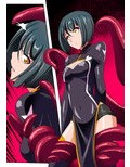 Heroine harassment 純潔の退魔師アキナ 前編 淫魔の手に堕ちる最強の乙女