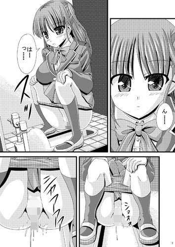 女子校トイレ盗撮Vol.03 画像1