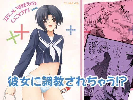 正しい彼氏のしつけ方[ゆうげきたい] 