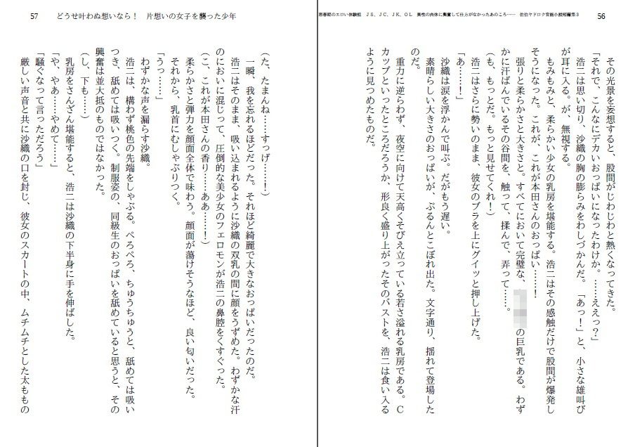 エロい体験話  異性の肉体に興奮して仕方がなかったあのころ…… 佐伯ヤドロク官能小説短編集3...4