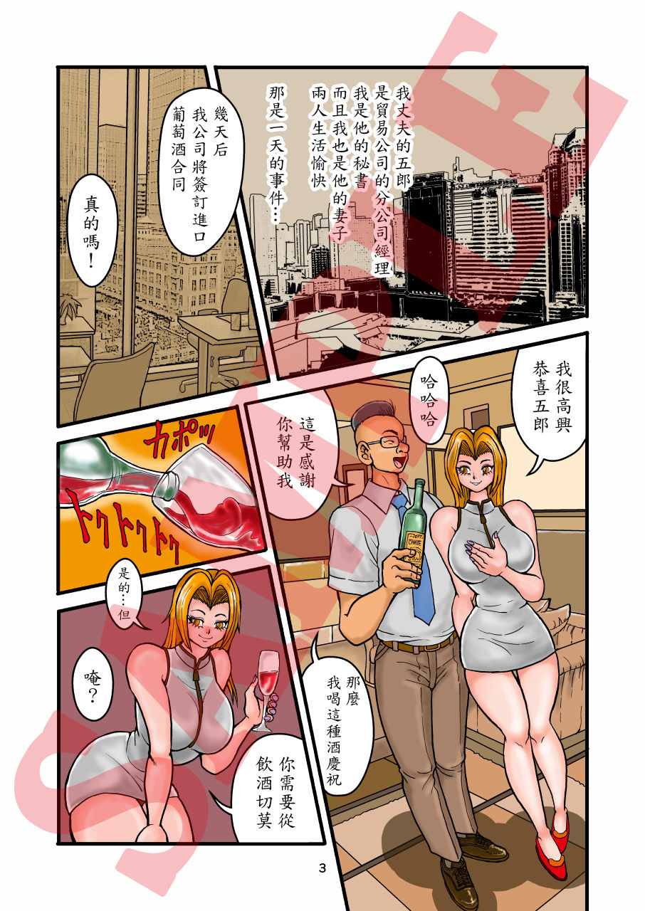 姦淫夫人麻衣子故事 画像2