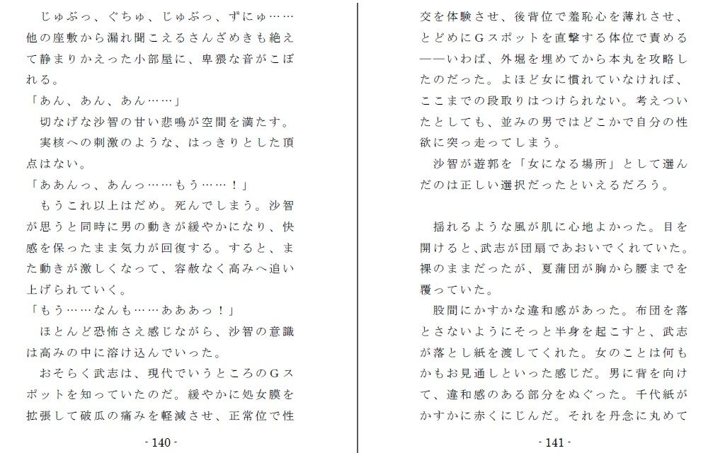 サンプル-成層圏の飛燕〜海女翔けるとき - サンプル画像