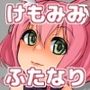 けもみみふたをつくったよ