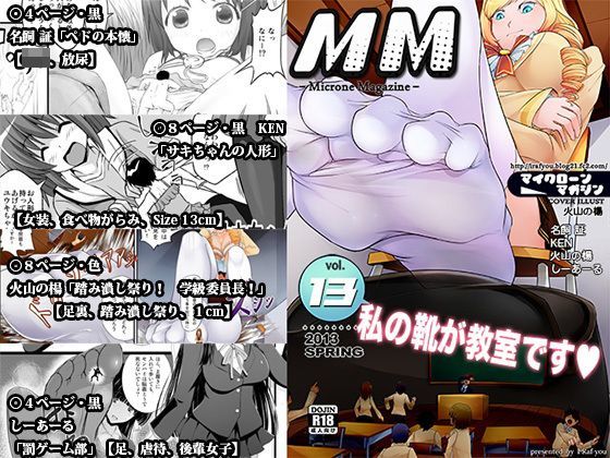 【ワンピース 同人】マイクローンマガジン13 I-Raf-you