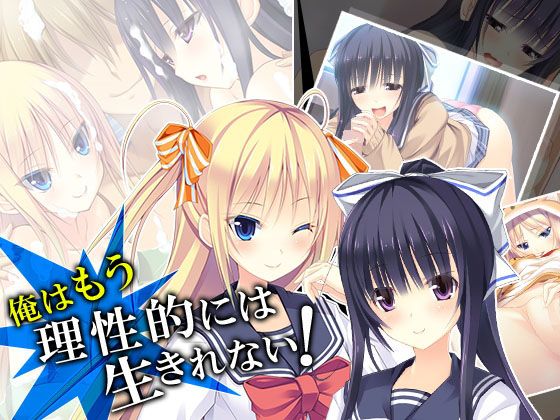 俺はもう理性的には生きれない！ 6巻(アロマコミック)