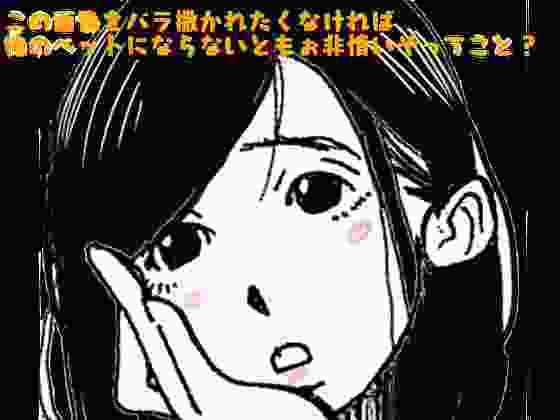 この画像をバラ撒かれたくなければ、俺のペットにならないともぉ非情ぞってこと?