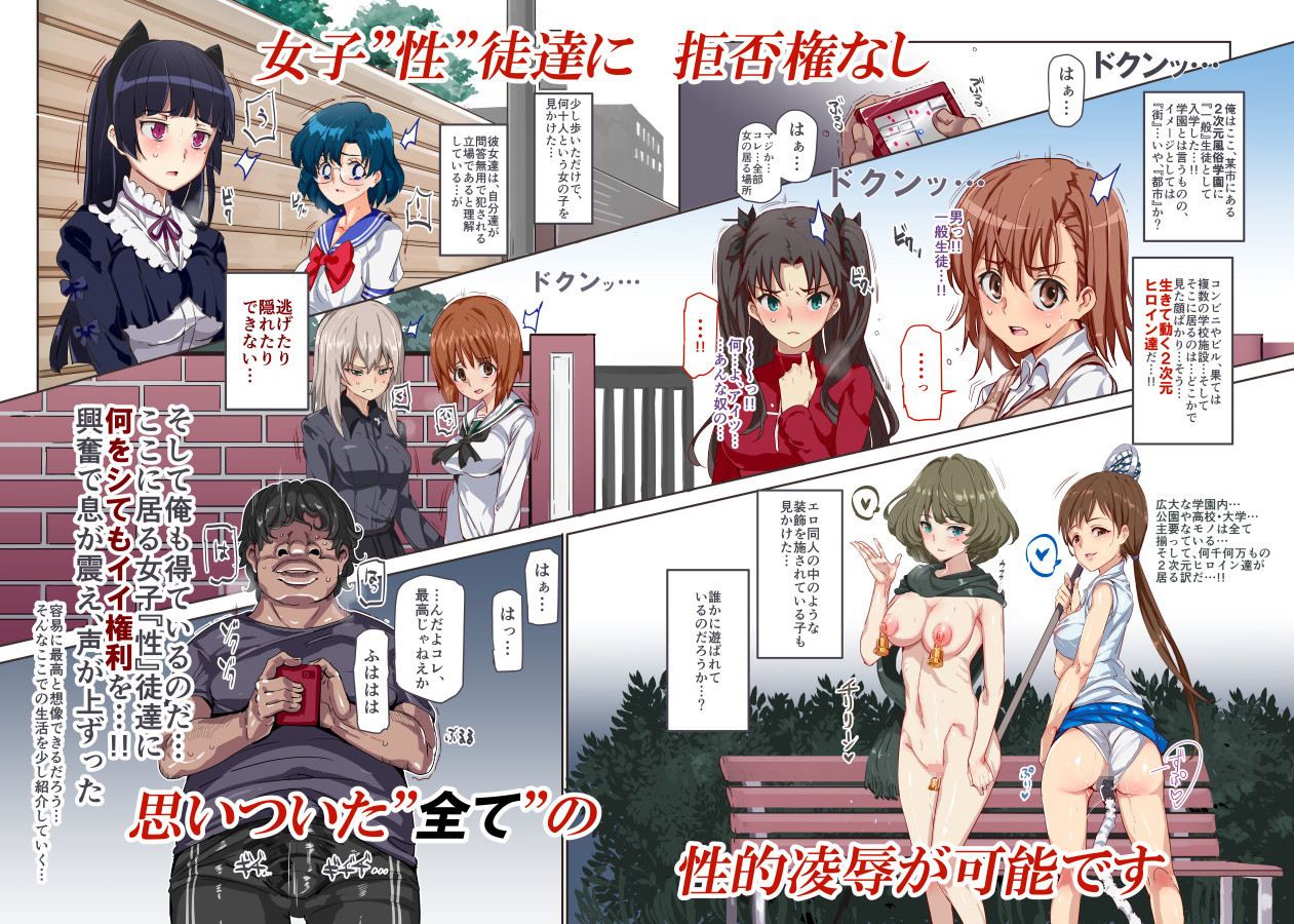 二 次元 風俗 学園