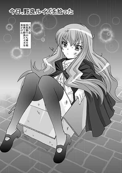 今日、野良ルイズを拾った はるほん堂 エロ漫画5