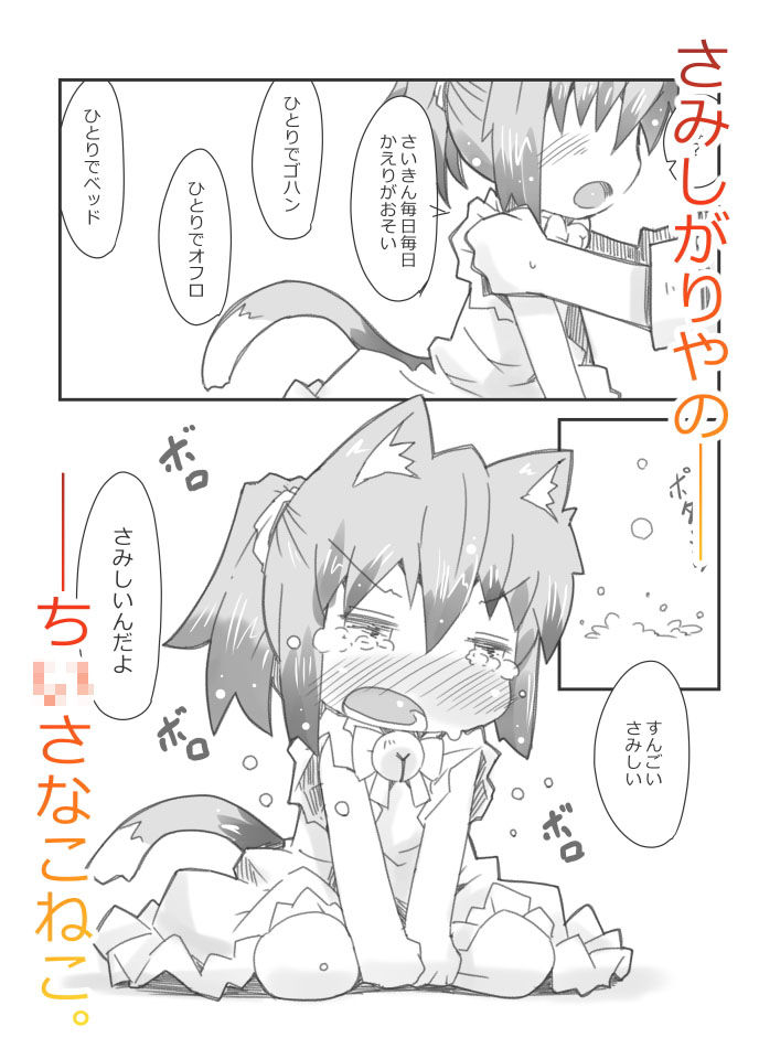 娘猫と遊ぼ！-よあるき編-2