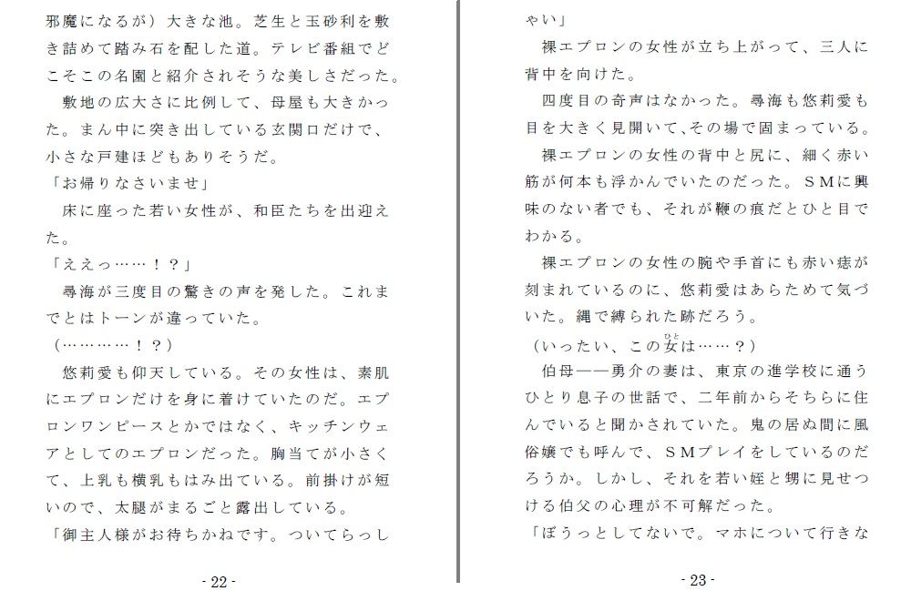 姪奴と甥奴（前編）〜繁殖奴●にされる姉と男の娘に改造される弟 画像4