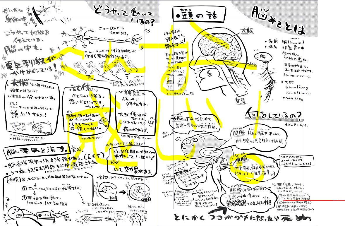 みんなのための解剖生理 画像4