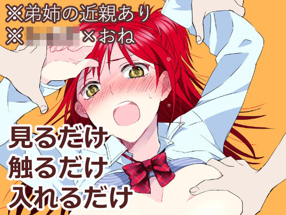 見るだけ触るだけ入れるだけ[arkizm＊] 