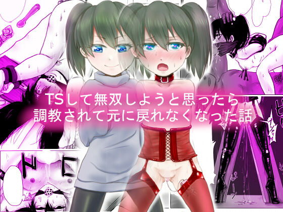 【甘菓子 同人】TSして無双しようと思ったら調教されて元に戻れなくなった話