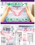 妹に欲情するなら姉で性欲を解消すればイイジャナイ 1巻