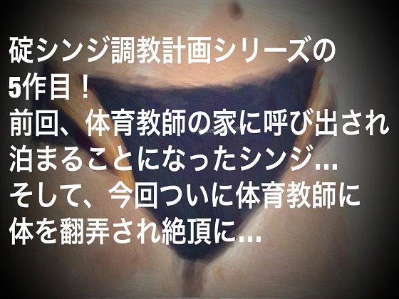 碇シンジ調教計画～絶頂編～ 秘密結社SYOTA エロ2