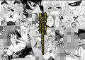 IS総集編2011〜2012
