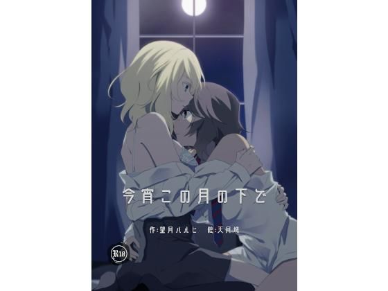 今宵この月の下で(善意舗装)