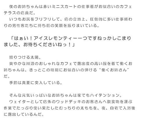 サンプル-血の繋がった実のお姉ちゃんと熱帯夜に濃密初体験 童貞の僕の肉のソーセージは、お姉ちゃんのヴァギナで大人に成長！！ - サンプル画像